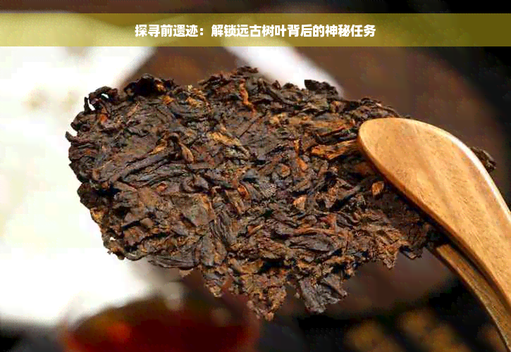 探寻前遗迹：解锁远古树叶背后的神秘任务