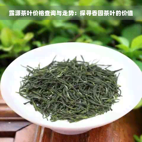 露源茶叶价格查询与走势：探寻香园茶叶的价值