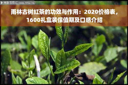 雨林古树红茶的功效与作用：2020价格表，1600礼盒装保值期及口感介绍