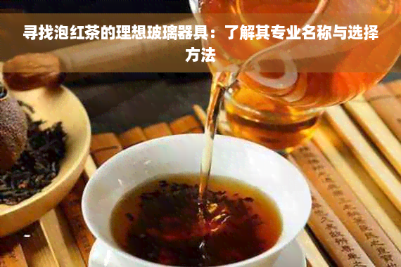 寻找泡红茶的理想玻璃器具：了解其专业名称与选择方法