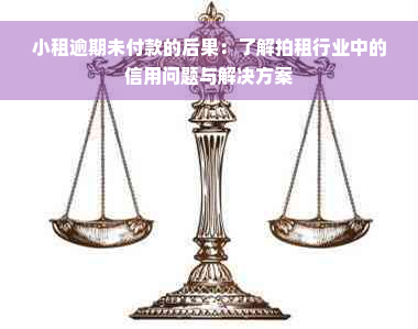 小租逾期未付款的后果：了解拍租行业中的信用问题与解决方案