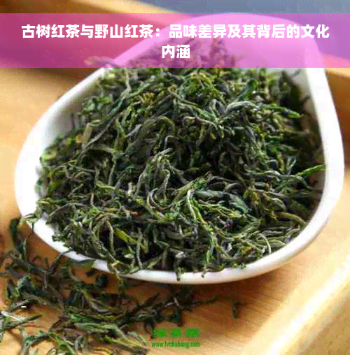 古树红茶与野山红茶：品味差异及其背后的文化内涵