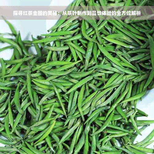 探寻红茶金圈的奥秘：从茶叶制作到品饮体验的全方位解析