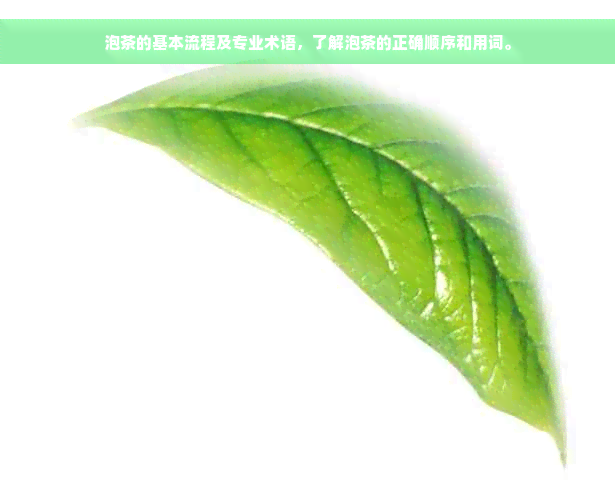 泡茶的基本流程及专业术语，了解泡茶的正确顺序和用词。