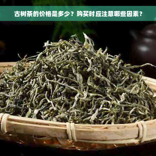 古树茶的价格是多少？购买时应注意哪些因素？