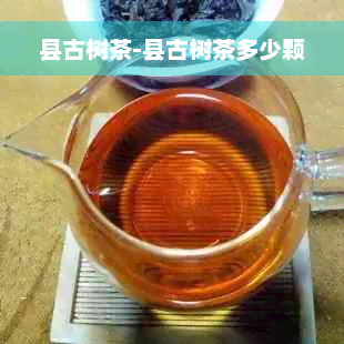 县古树茶-县古树茶多少颗