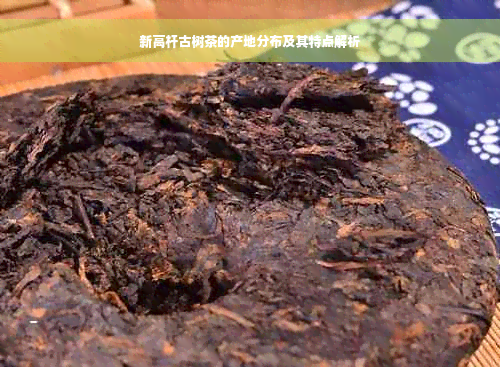 新高杆古树茶的产地分布及其特点解析