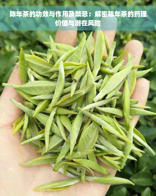 陈年茶的功效与作用及禁忌：解密陈年茶的药理价值与潜在风险