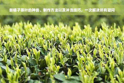 新橘子茶叶的种类、制作方法以及冲泡技巧，一次解决所有疑问