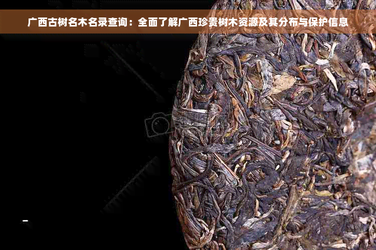 广西古树名木名录查询：全面了解广西珍贵树木资源及其分布与保护信息