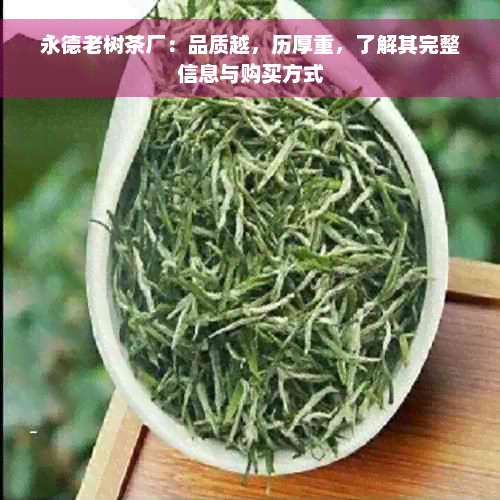 永德老树茶厂：品质越，历厚重，了解其完整信息与购买方式