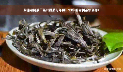 永德老树茶厂茶叶品质与年份：13年的老树茶怎么样？