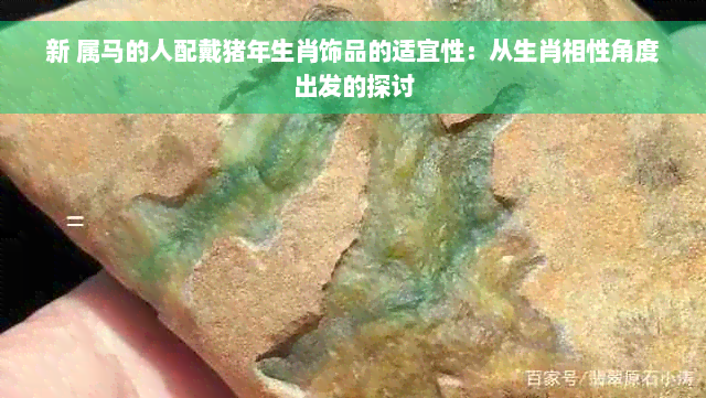 新 属马的人配戴猪年生肖饰品的适宜性：从生肖相性角度出发的探讨