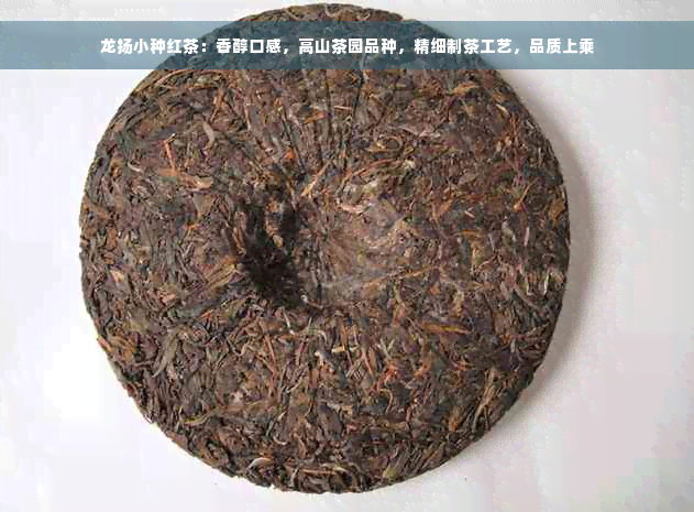 龙扬小种红茶：香醇口感，高山茶园品种，精细制茶工艺，品质上乘