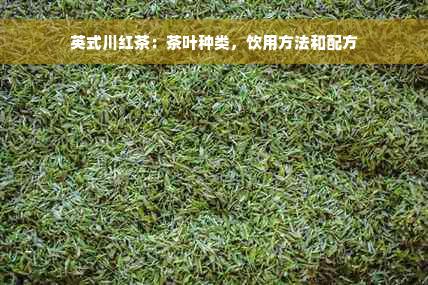 英式川红茶：茶叶种类，饮用方法和配方