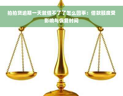 拍拍贷逾期一天就借不了了怎么回事：借款额度受影响与恢复时间