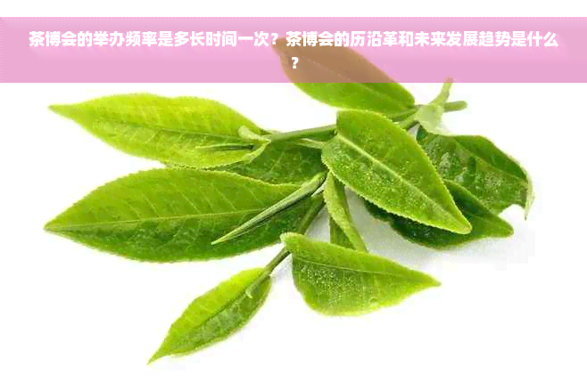 茶博会的举办频率是多长时间一次？茶博会的历沿革和未来发展趋势是什么？