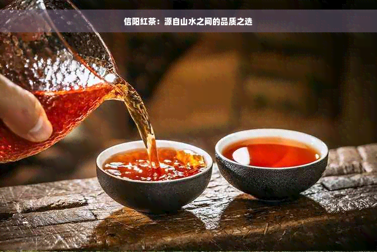 信阳红茶：源自山水之间的品质之选