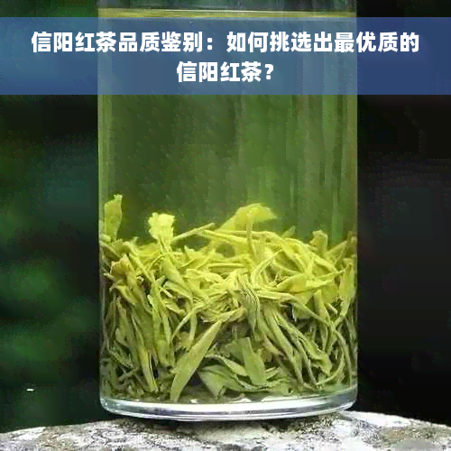 信阳红茶品质鉴别：如何挑选出更优质的信阳红茶？