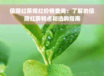 信阳红茶观红价格查询：了解的信阳红茶特点和选购指南