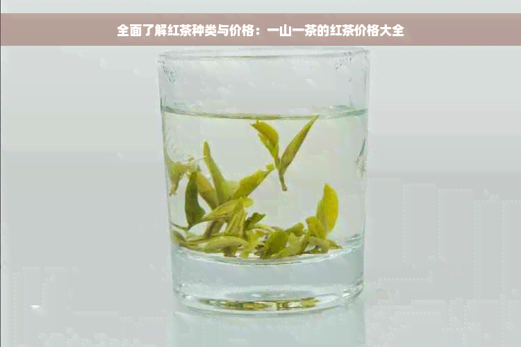 全面了解红茶种类与价格：一山一茶的红茶价格大全