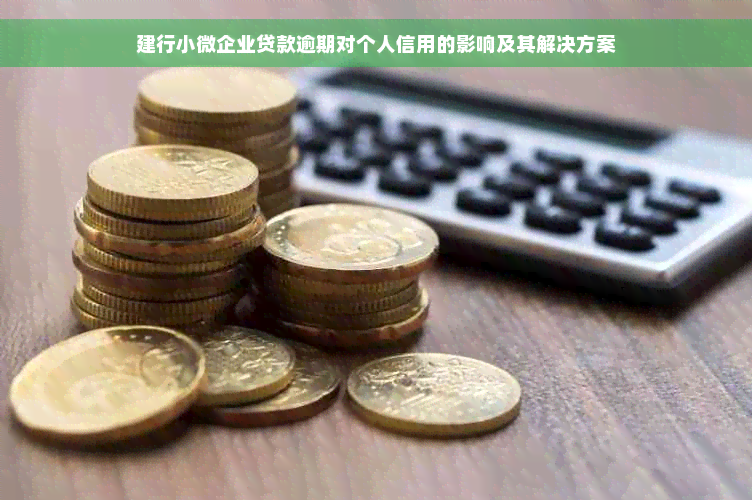 建行小微企业贷款逾期对个人信用的影响及其解决方案