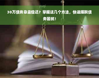 30万债务急需偿还？掌握这几个方法，快速摆脱债务困扰！