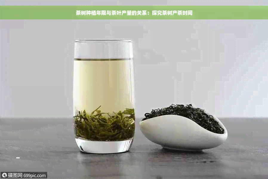 茶树种植年限与茶叶产量的关系：探究茶树产茶时间