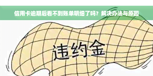 信用卡逾期后看不到账单明细了吗？解决办法与原因