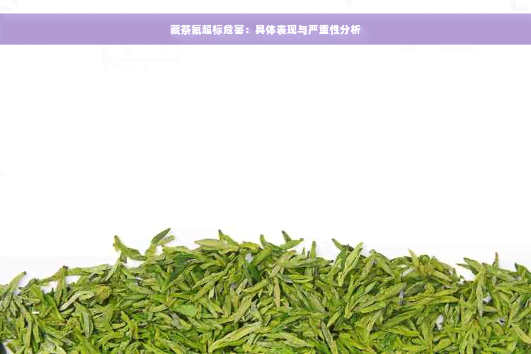 藏茶氟超标危害：具体表现与严重性分析