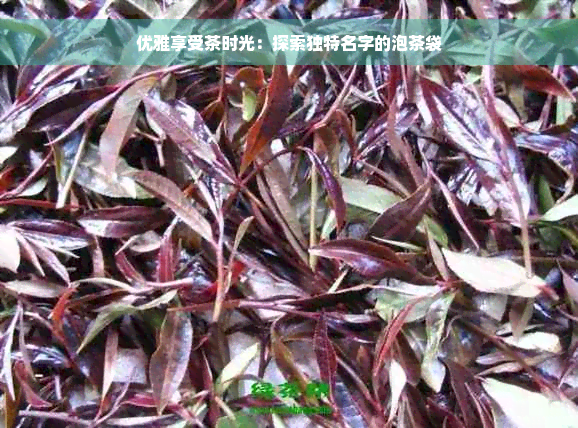 优雅享受茶时光：探索独特名字的泡茶袋