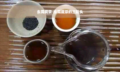 东莞藏茶-东莞藏茶的三巨头