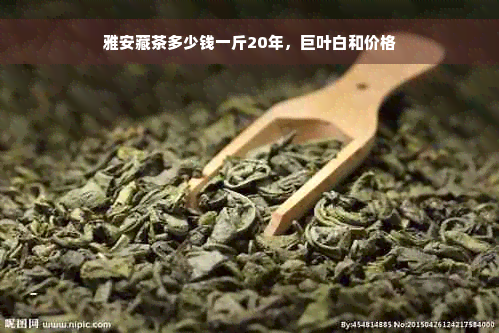 雅安藏茶多少钱一斤20年，巨叶白和价格