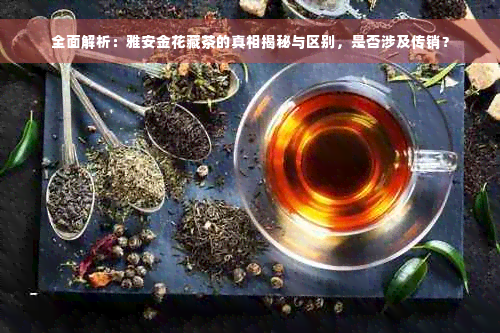 全面解析：雅安金花藏茶的真相揭秘与区别，是否涉及传销？