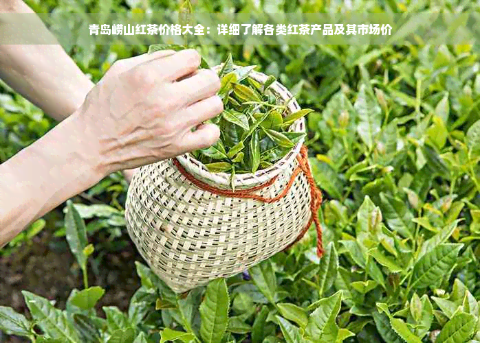 青岛崂山红茶价格大全：详细了解各类红茶产品及其市场价