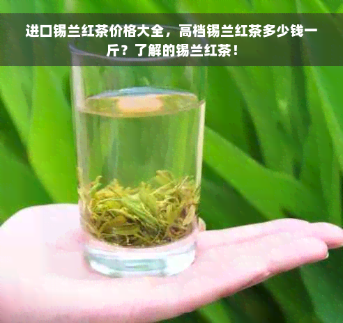 进口锡兰红茶价格大全，高档锡兰红茶多少钱一斤？了解的锡兰红茶！