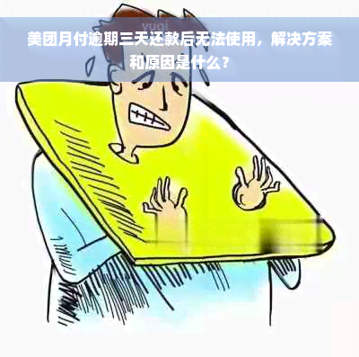 美团月付逾期三天还款后无法使用，解决方案和原因是什么？