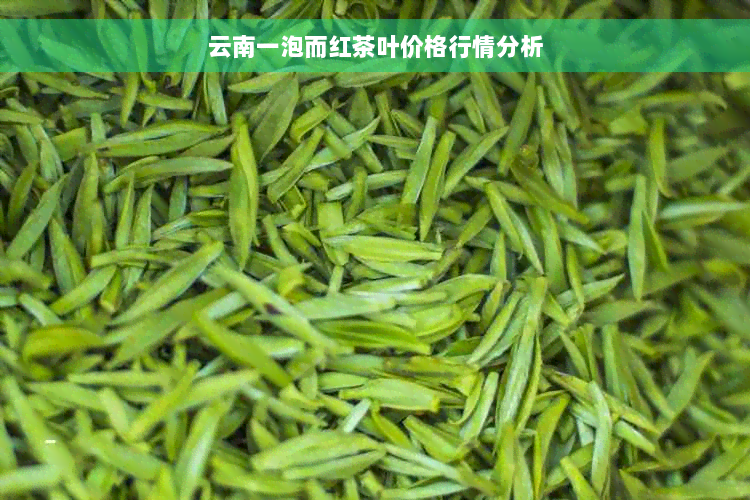 云南一泡而红茶叶价格行情分析