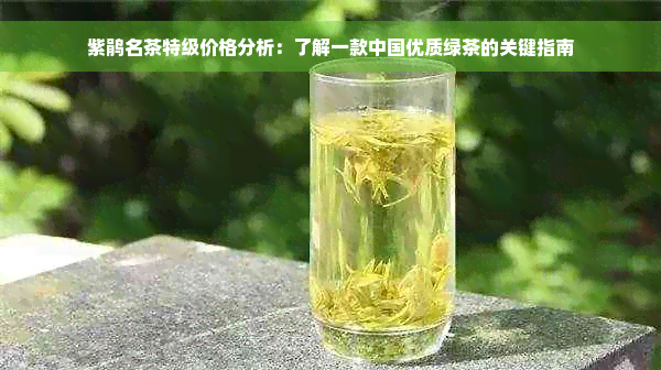 紫鹃名茶特级价格分析：了解一款中国优质绿茶的关键指南