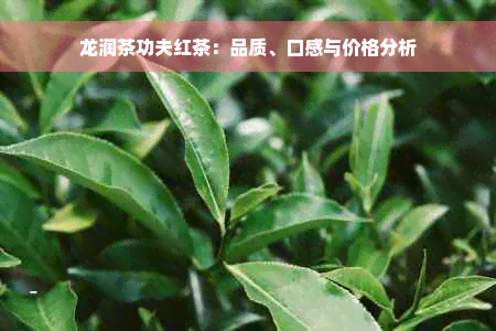 龙润茶功夫红茶：品质、口感与价格分析