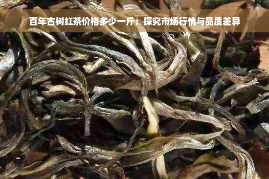 百年古树红茶价格多少一斤：探究市场行情与品质差异