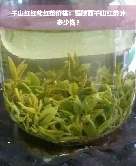 千山红红蕊红茶价格：强陕西千山红茶叶多少钱？