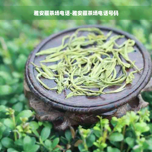 雅安藏茶场电话-雅安藏茶场电话号码