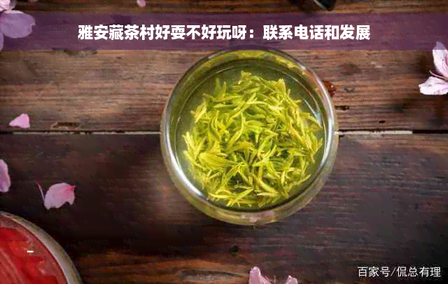 雅安藏茶村好耍不好玩呀：联系电话和发展