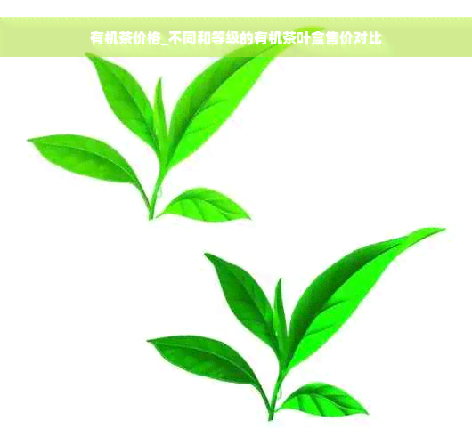 有机茶价格_不同和等级的有机茶叶盒售价对比