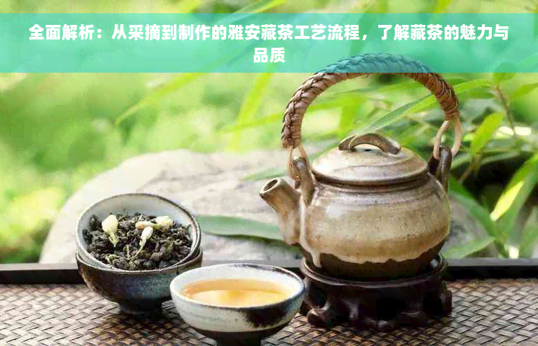 全面解析：从采摘到制作的雅安藏茶工艺流程，了解藏茶的魅力与品质