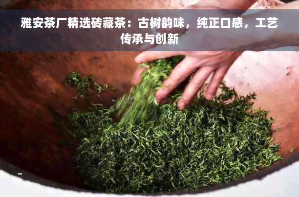 雅安茶厂精选砖藏茶：古树韵味，纯正口感，工艺传承与创新