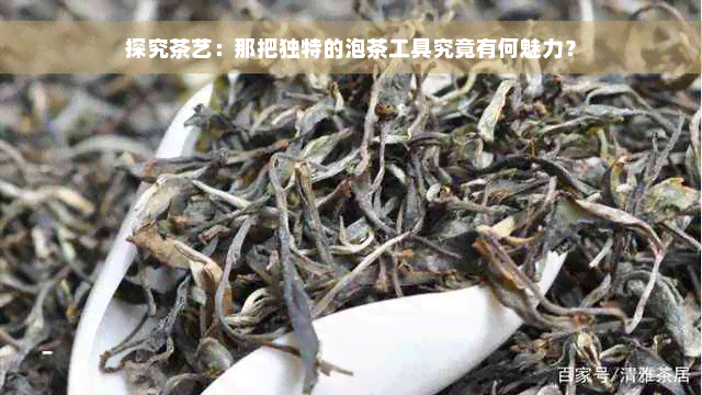 探究茶艺：那把独特的泡茶工具究竟有何魅力？