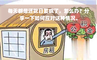 每天都是还款日要疯了，怎么办？分享一下如何应对这种情况。