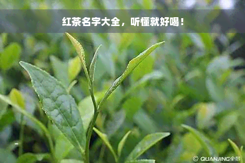 红茶名字大全，听懂就好喝！